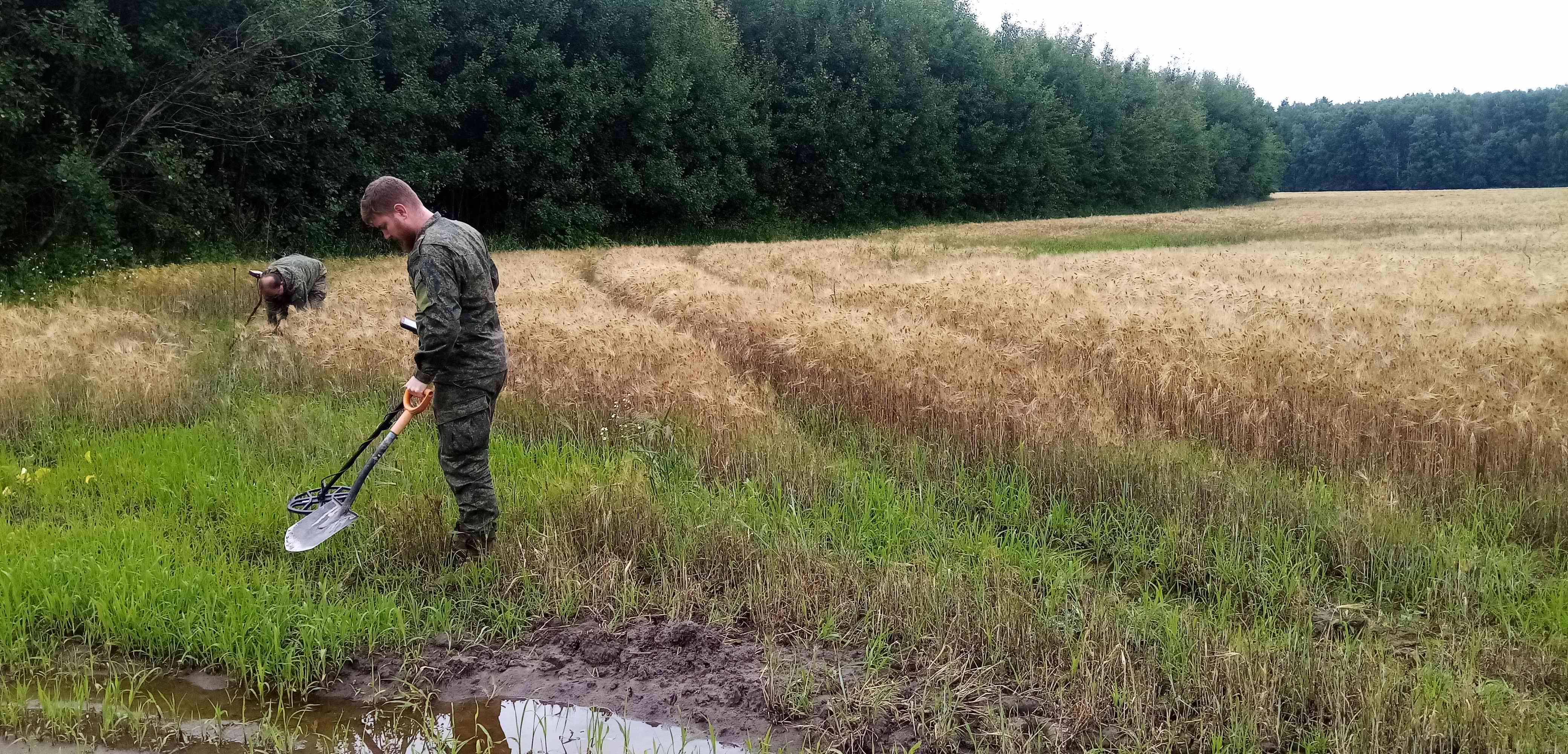 ��������-���������������� ���������� ���������-��������. 
�������� �������. 2024 ���.