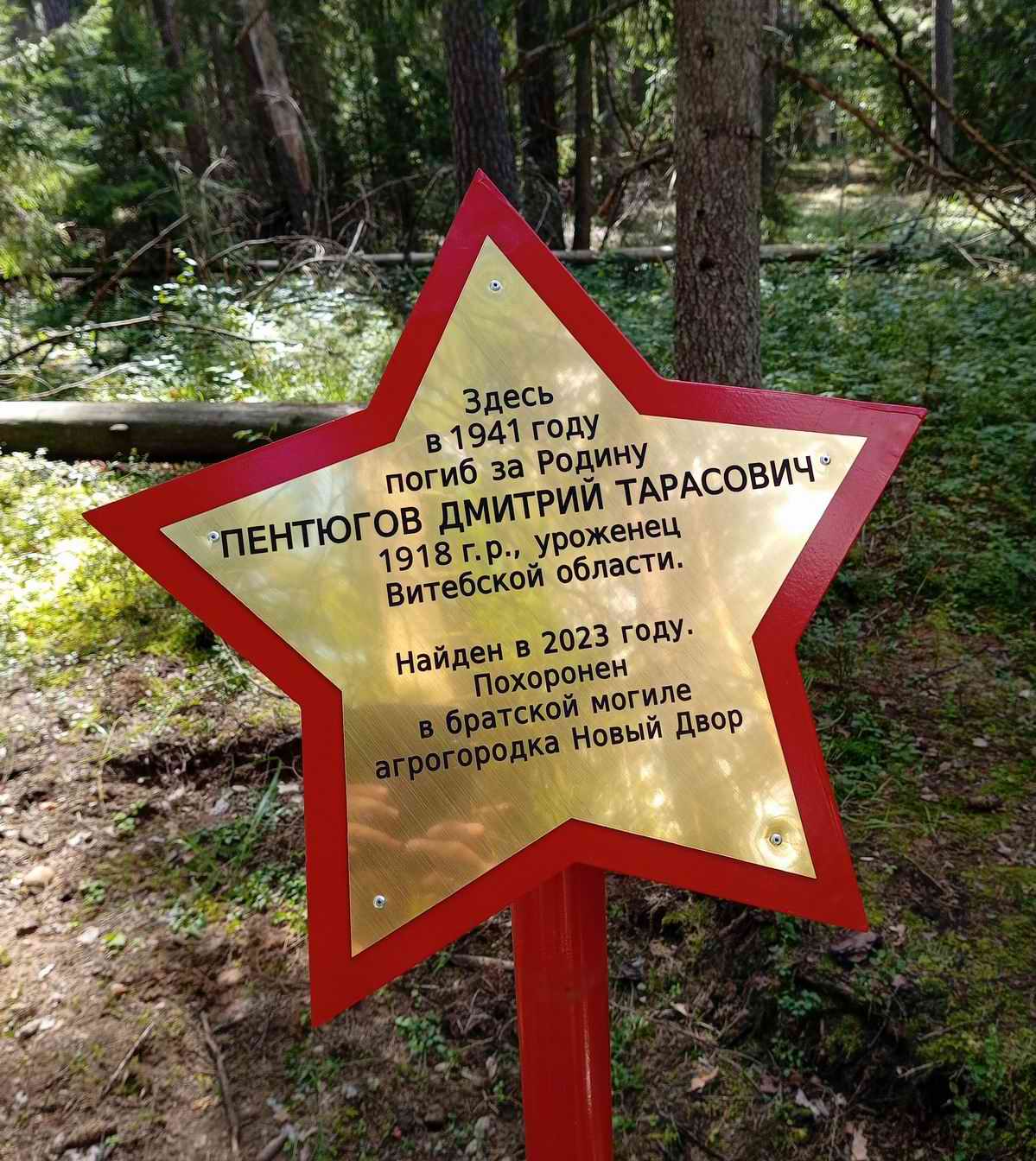 ��������� ������: �������� ������. 2024 �. �������� - ���������