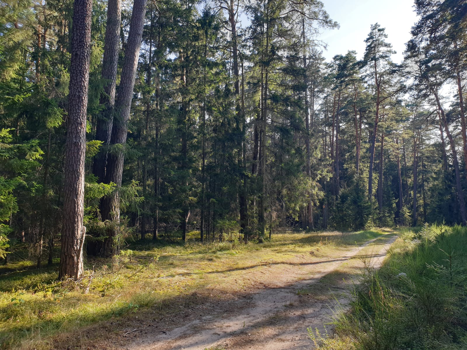 ��������� ����������. �������� - ���������.