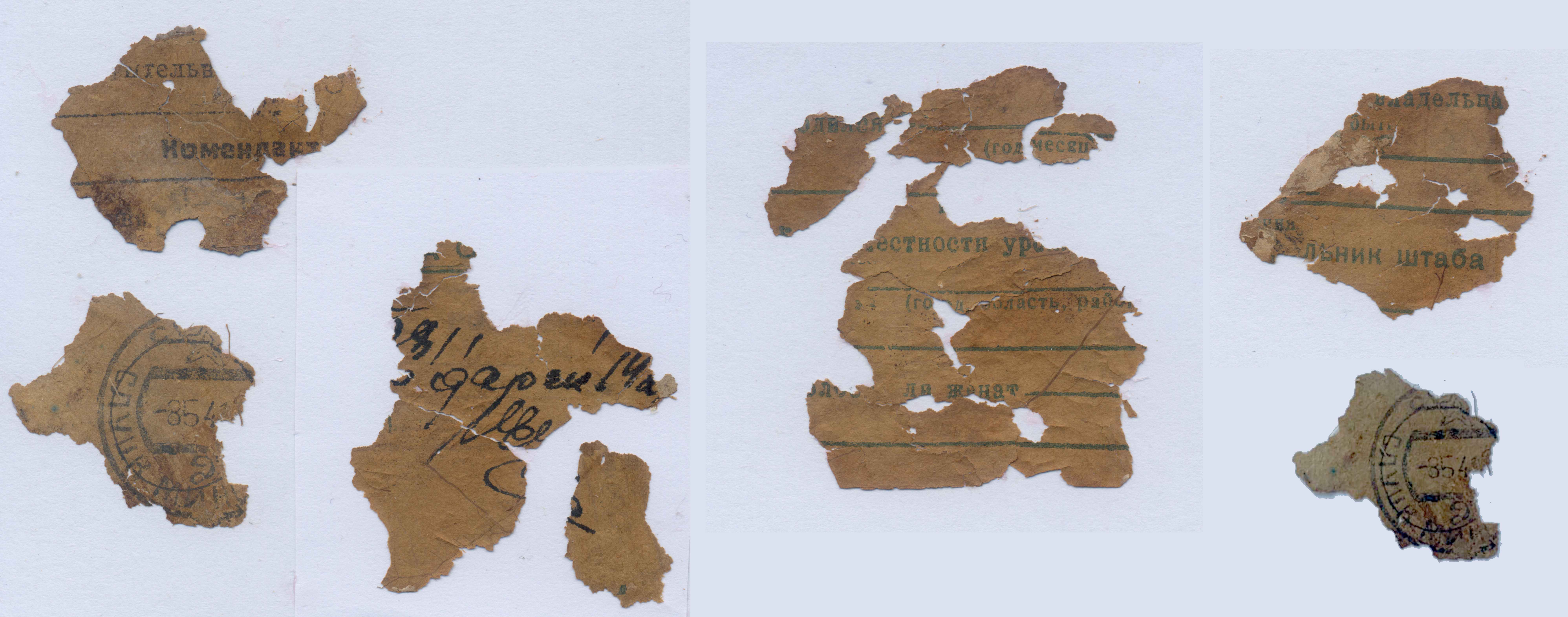 ��������� ����������. �������� - ���������.