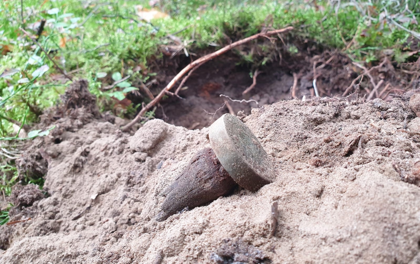 ��������� ����������. �������� - ���������. ������ 150 ��������� ������������� ����� 113 ��.