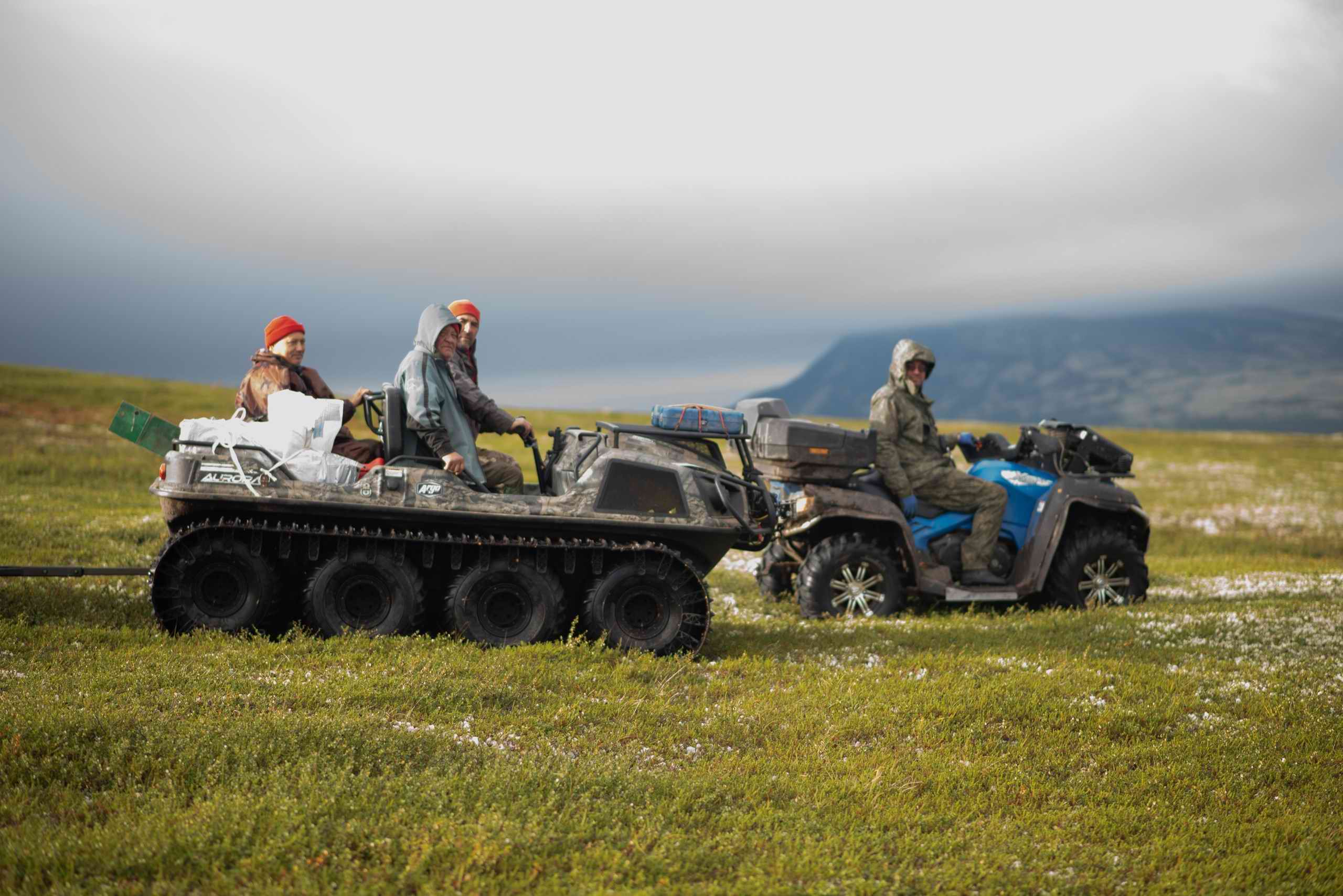 ������� ����������. ���������� � ���������� �������. 2024 �.