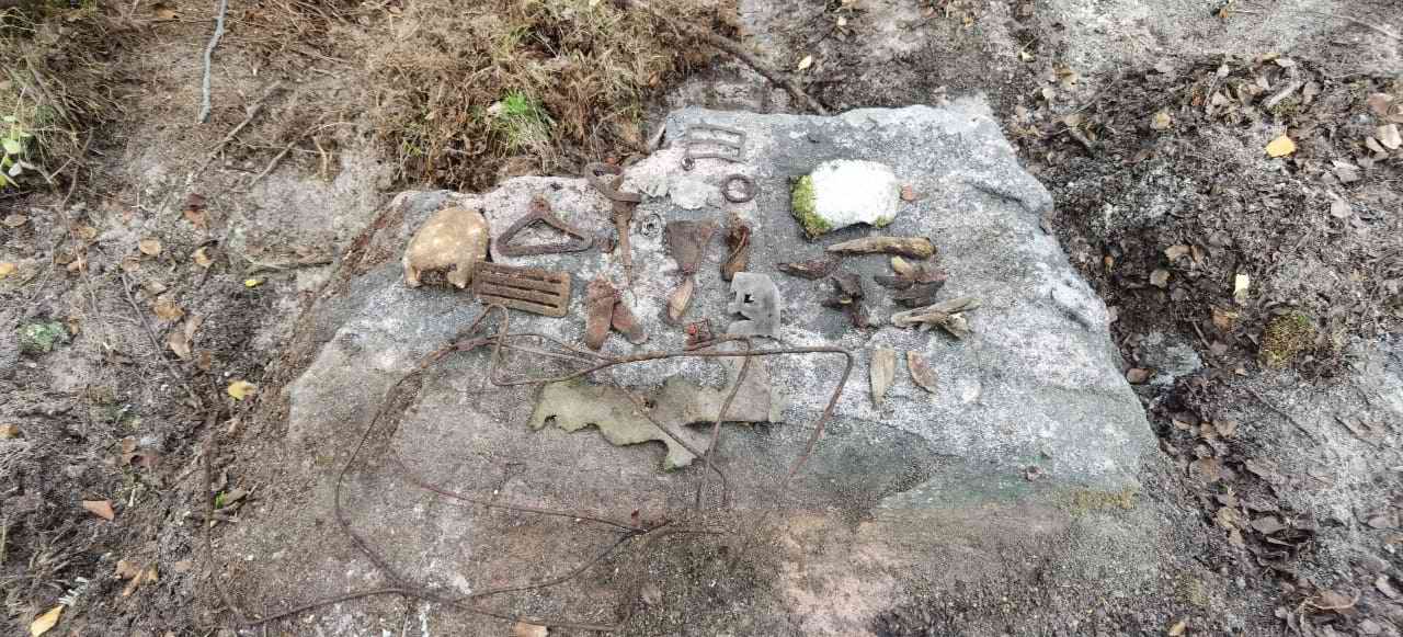 ��������� �������� �������, ��. ������. ������� ����������. ���������� � ���������� �������. 2024 �.