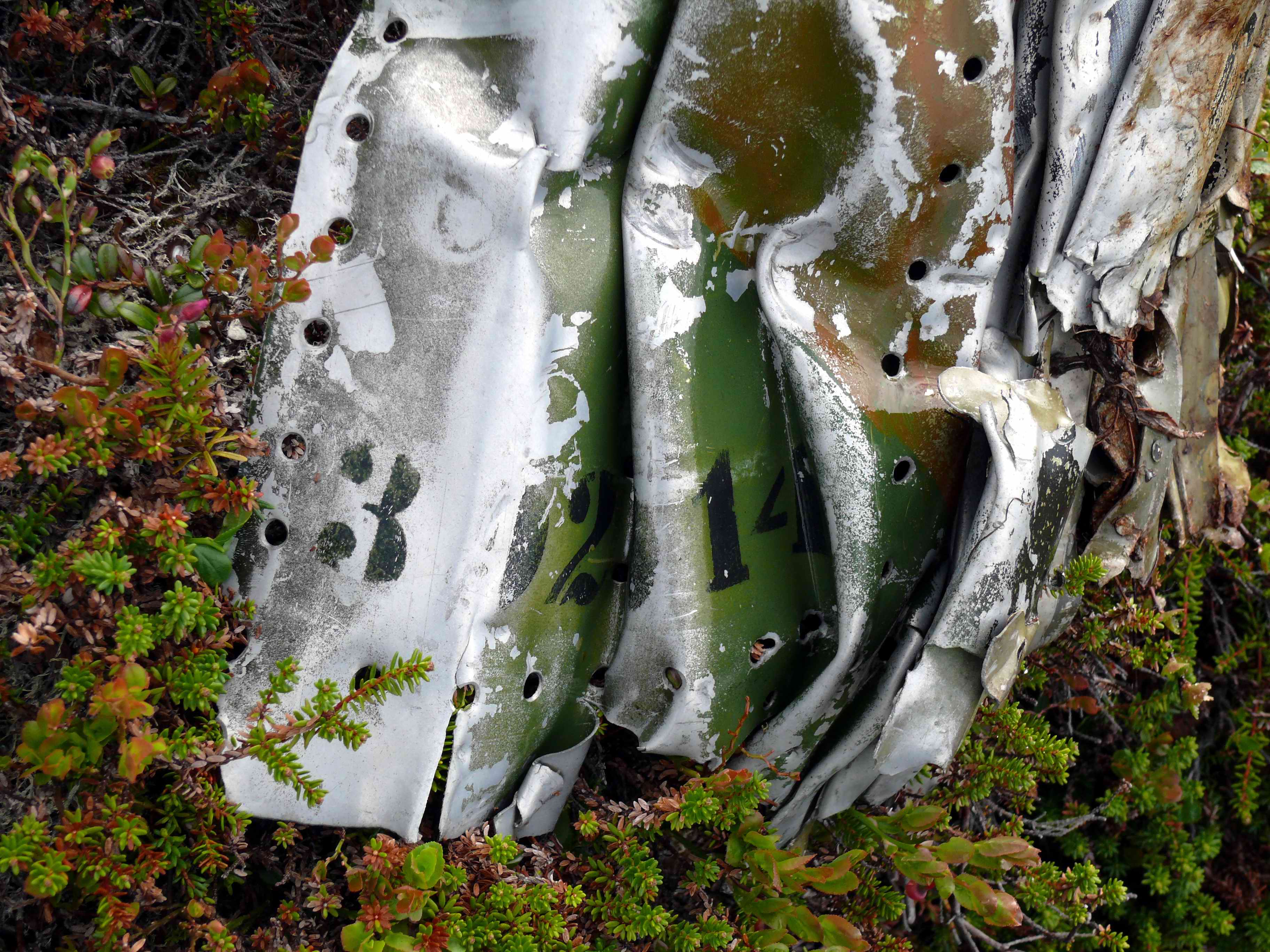 ����� �������� 2014 �� ���� �������. ������� ����������. ���������� � ���������� �������. 2024 �.