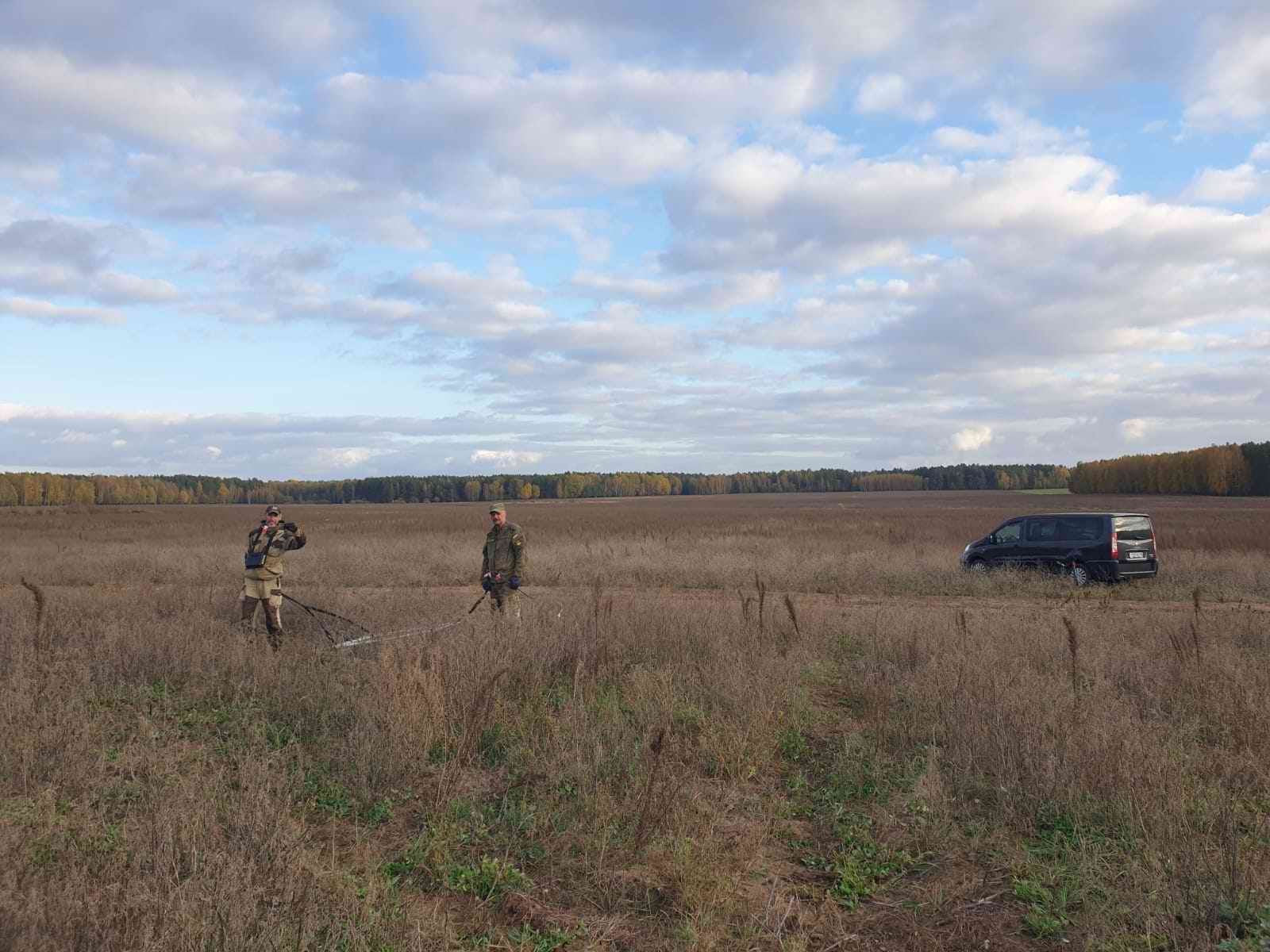 ������������� ����� ������ � ���������� ��������. ����� ����������� ����������� � ���������. ���������-��������. 2024 �.