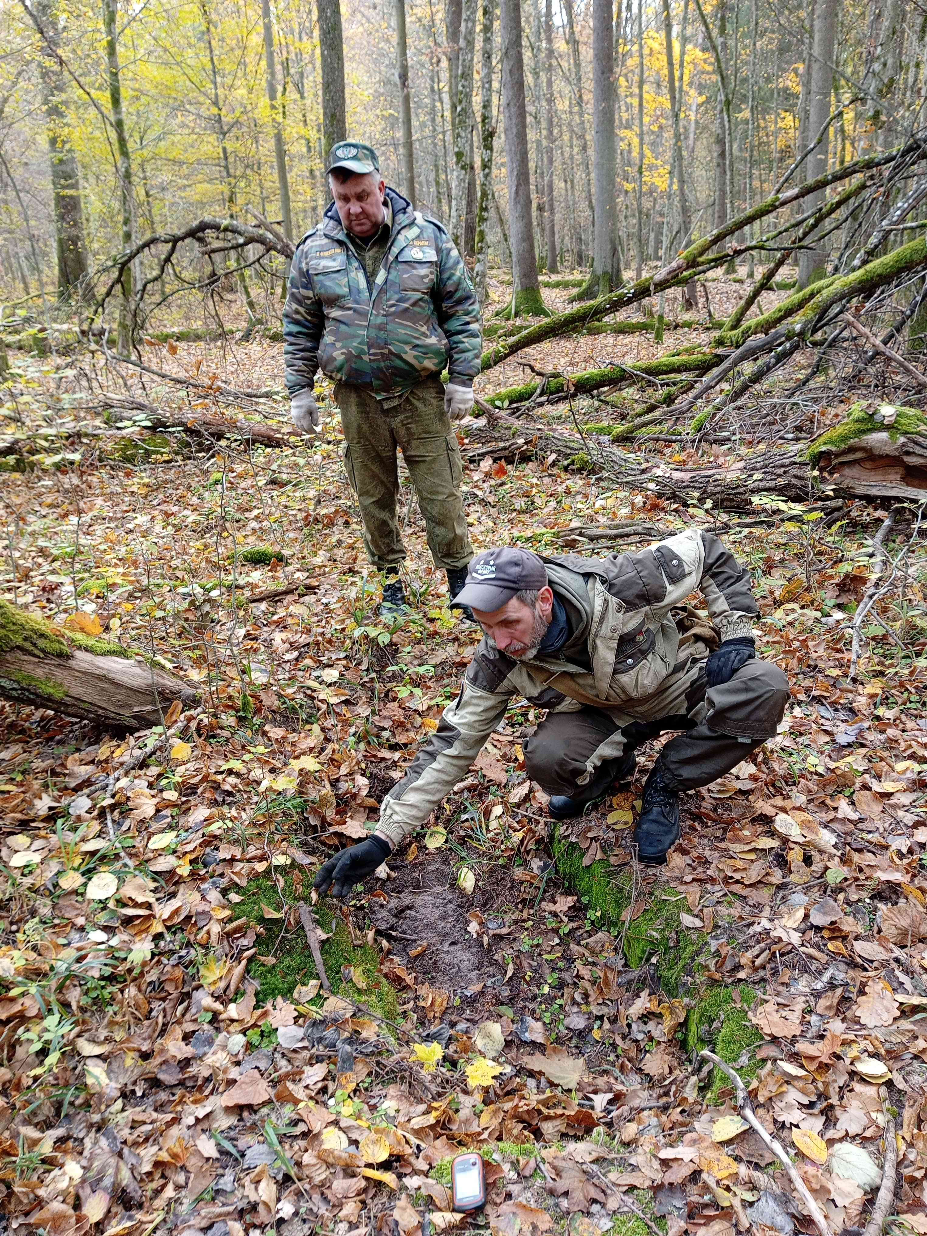 ������������� ����� ������ � ���������� ��������. ���������-��������. 2024 �.