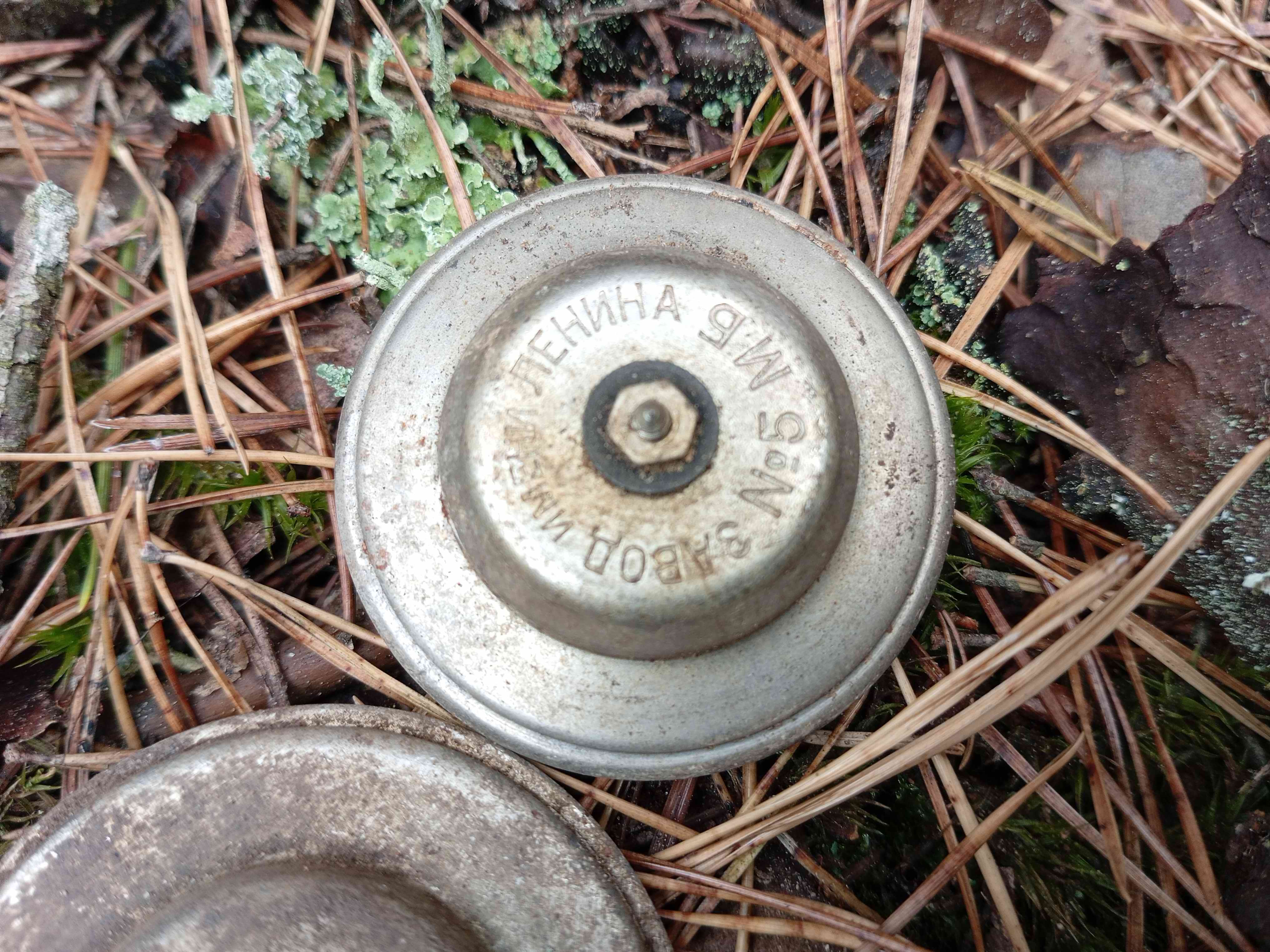 ������������� ����� ������ � ���������� ��������. ��������� �������� ��������. ���������-��������. 2024 �.