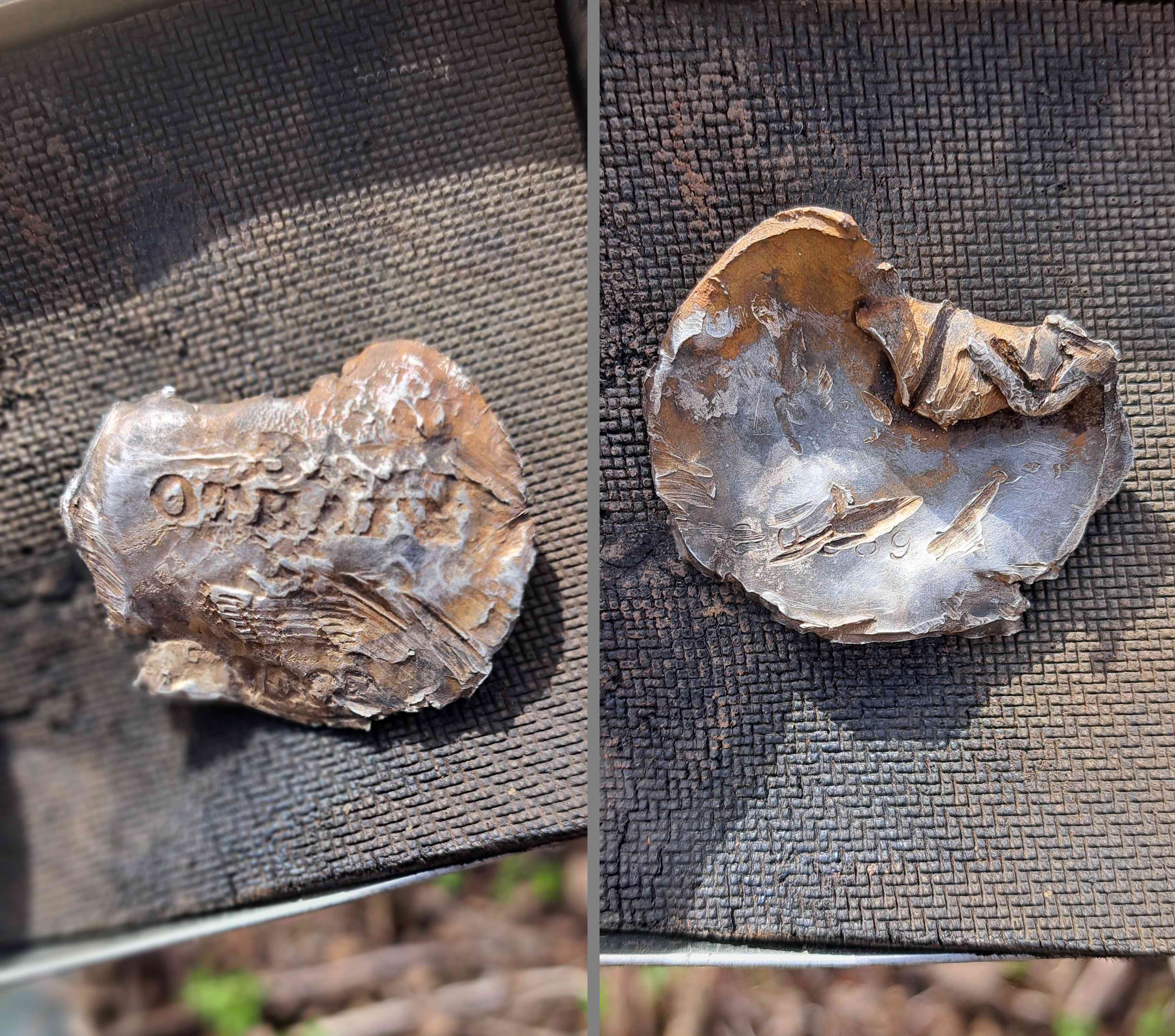 ����� �������������. ������ ��� ������ ������� ����� �����������. ����. 2024 �.