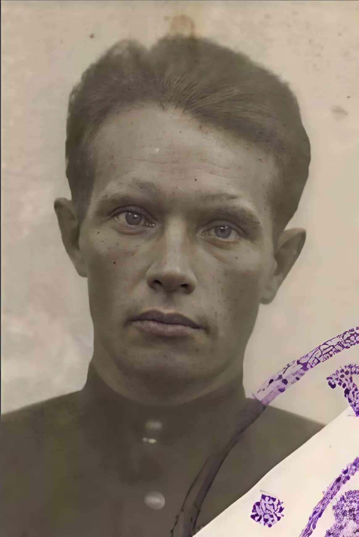 ����� �������������. ������� ������� �������� ������� ���������. ����. 2024 �.