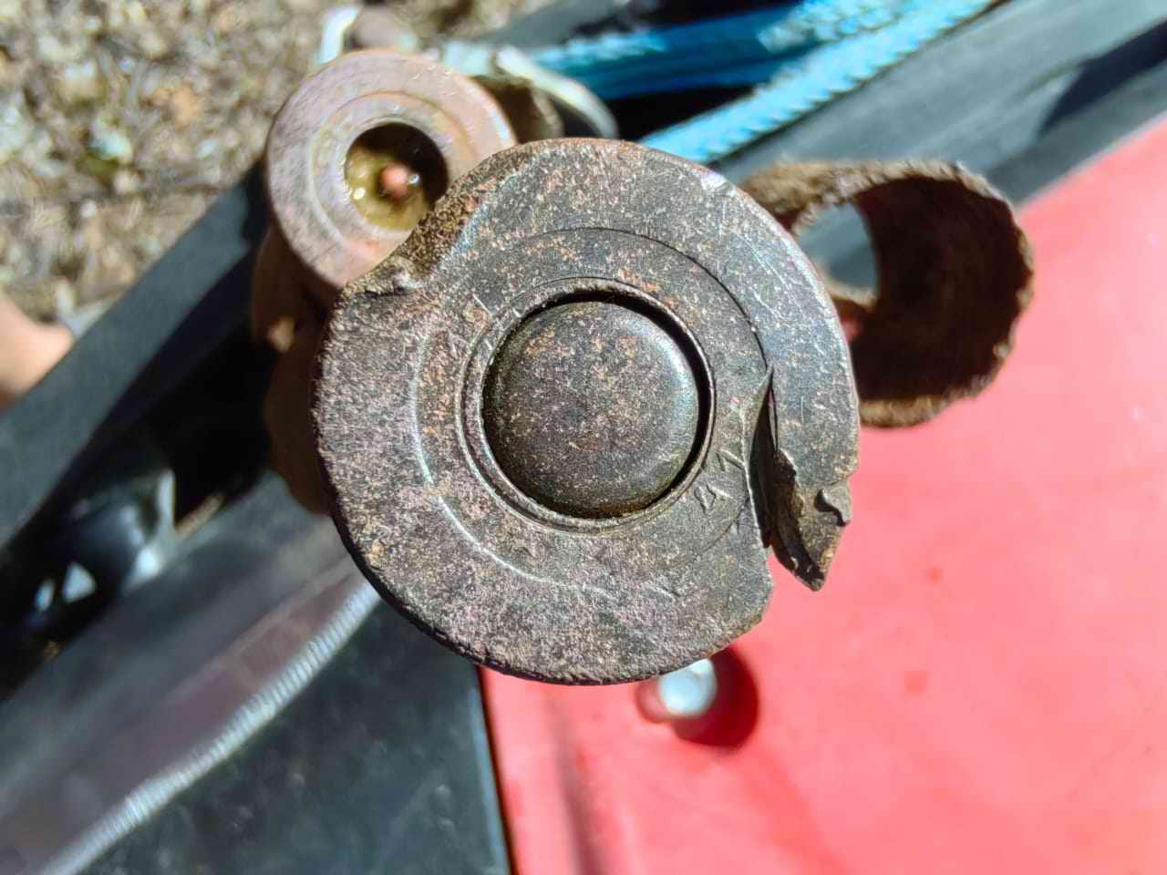 ������� ����������. ���������. 2025 �. ������ �� ����� �������. ������ �� �������� ��. �������. 2024 �.