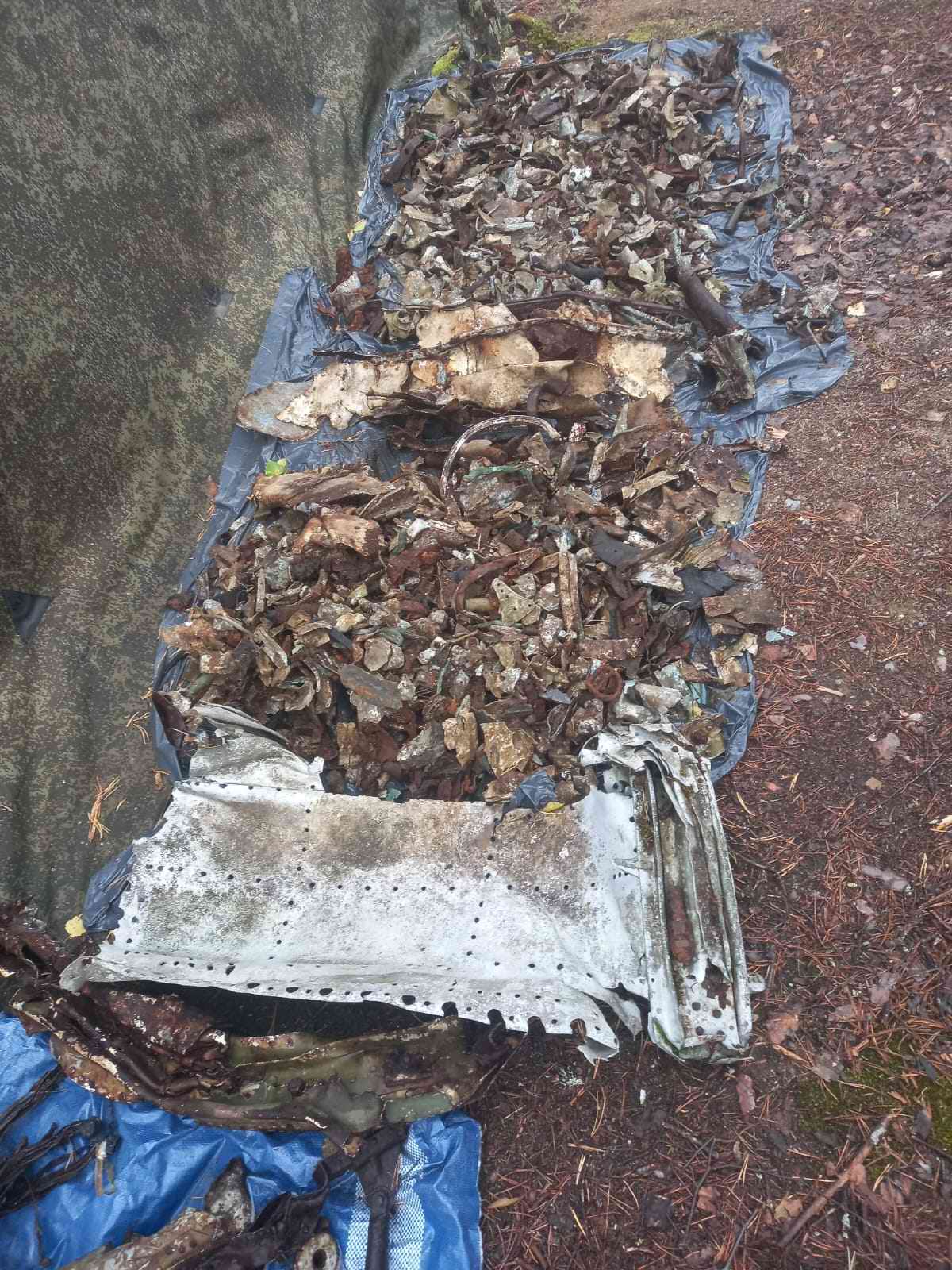 ������� ����������. ���������. 2025 �. ������� �������� ��-2. �������. 2024 �.