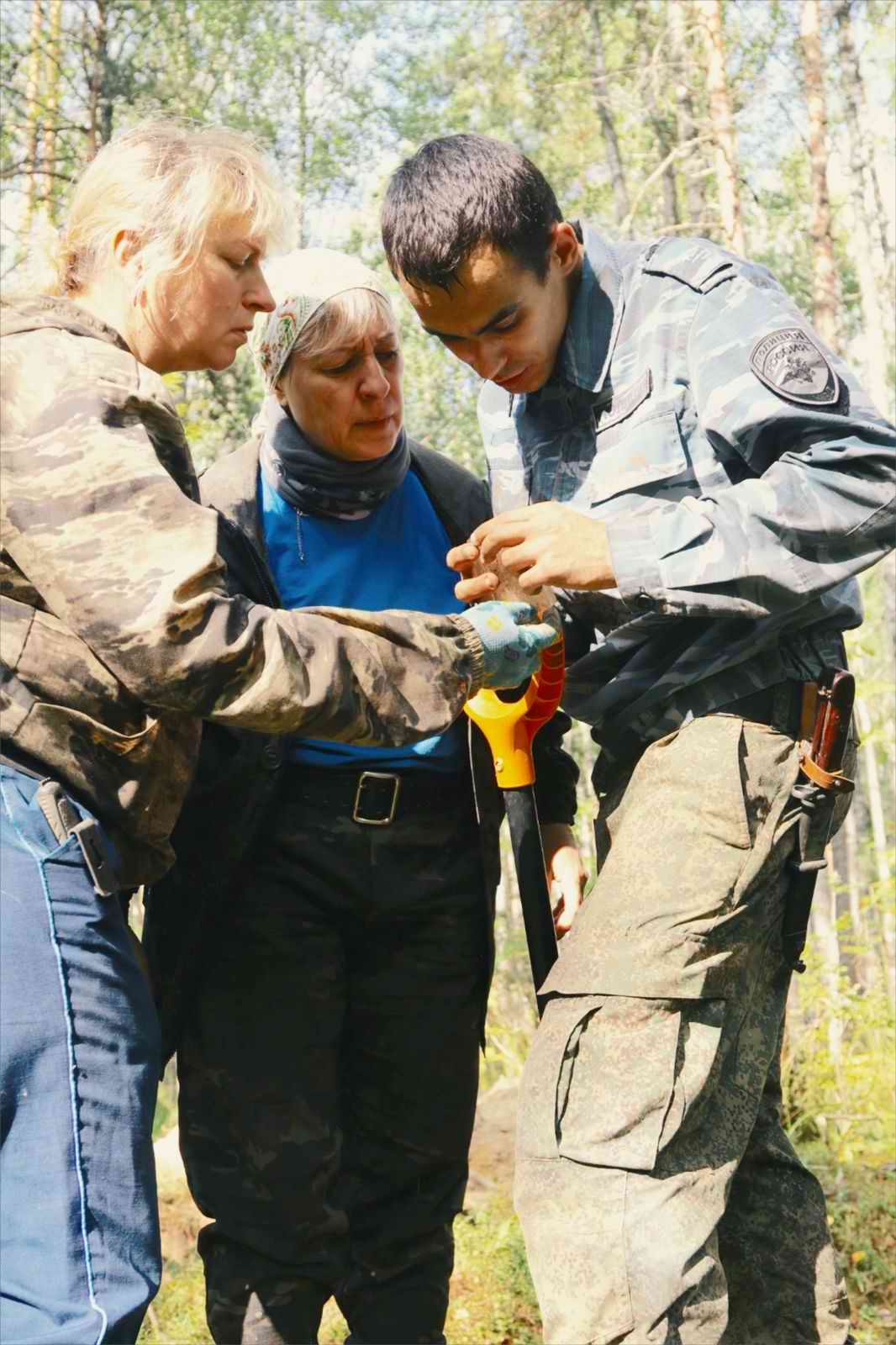 ������� ����������. ���������. 2025 �. ������ �� ����� �������. �������. 2024 �.