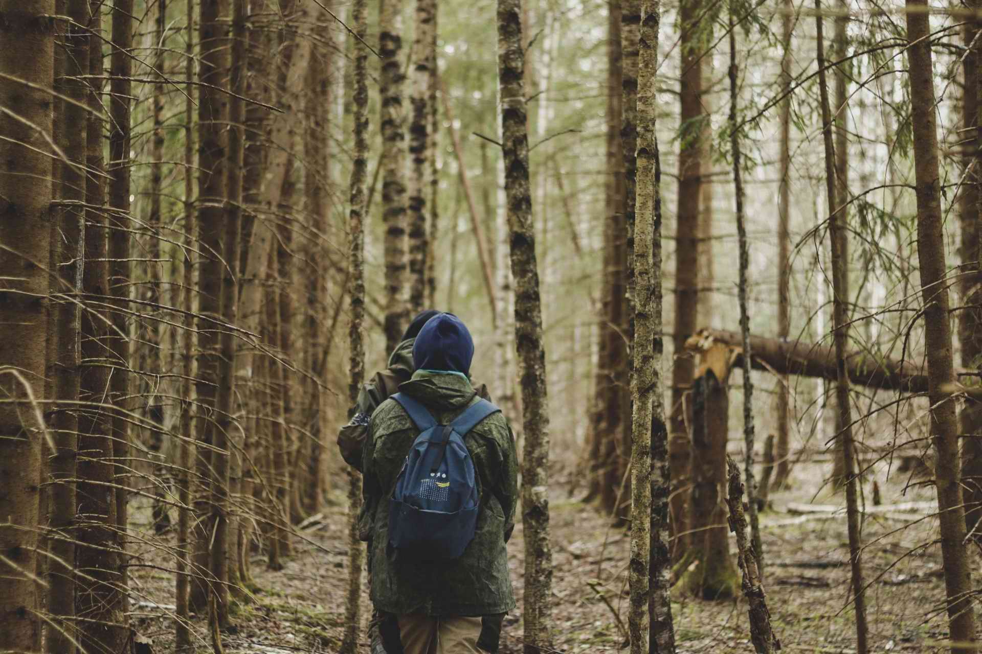 ������-������������� ��������� ���������� ��������. �.������. 2025 �.