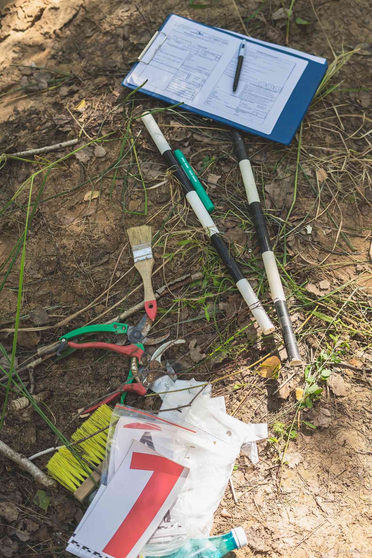 ������-������������� ��������� ���������� ��������. �.������. 2025 �.