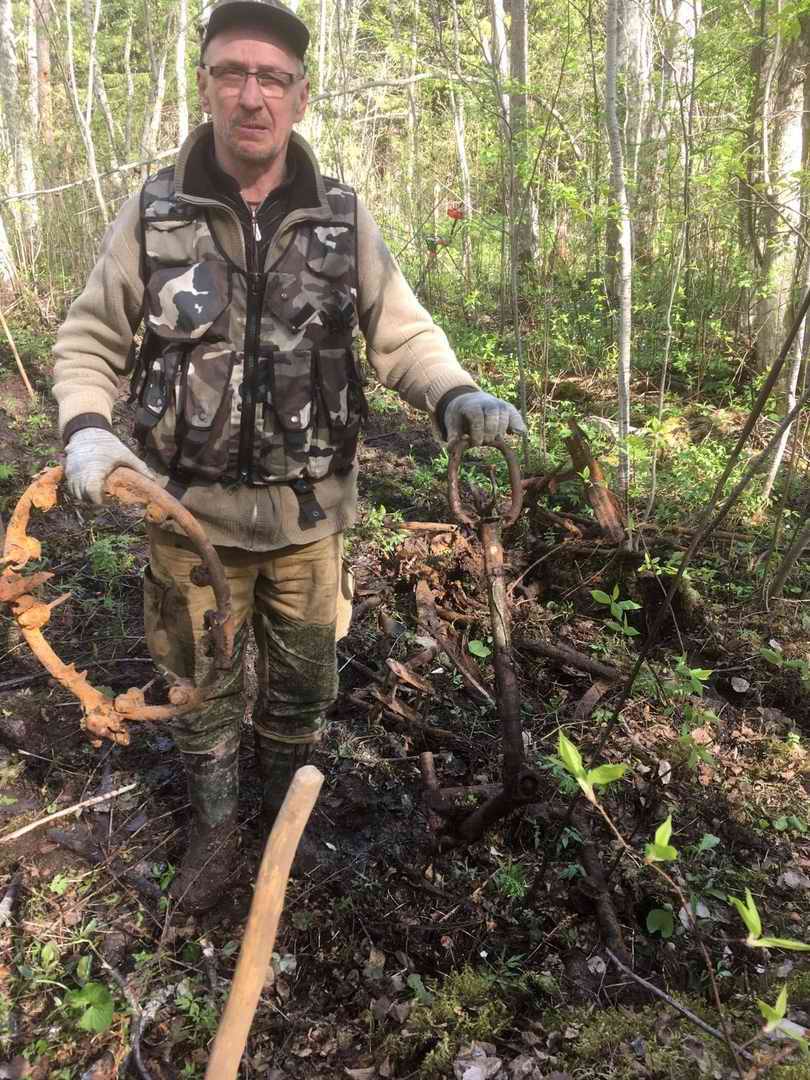 ������� ����������. ���������. 2025 �.