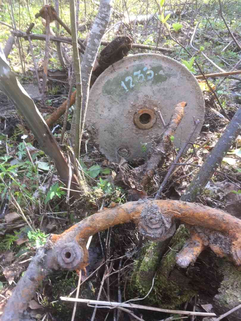 ������� ����������. ���������. 2025 �.