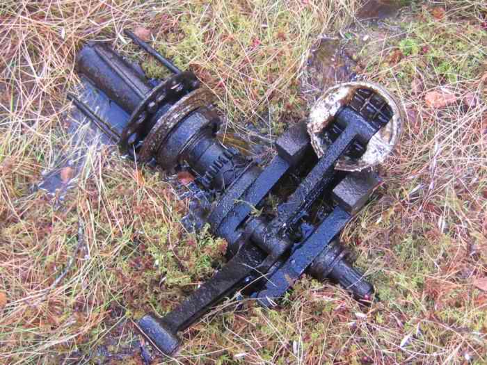 ������� ����������. ���������. 2025 �.