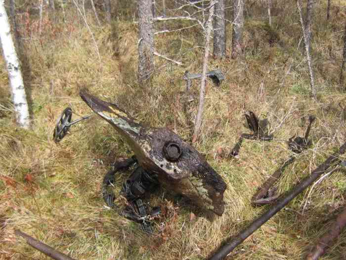 ������� ����������. ���������. 2025 �.