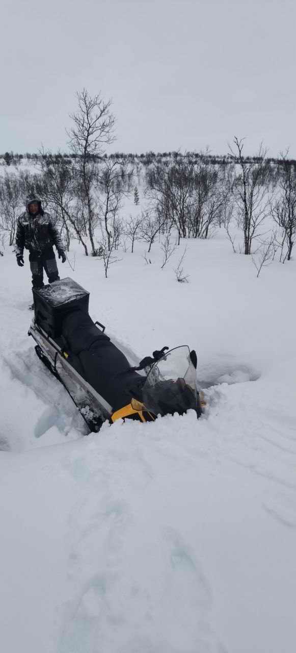 ������� ����������. ���������� ������� - ���������. 2025 �.