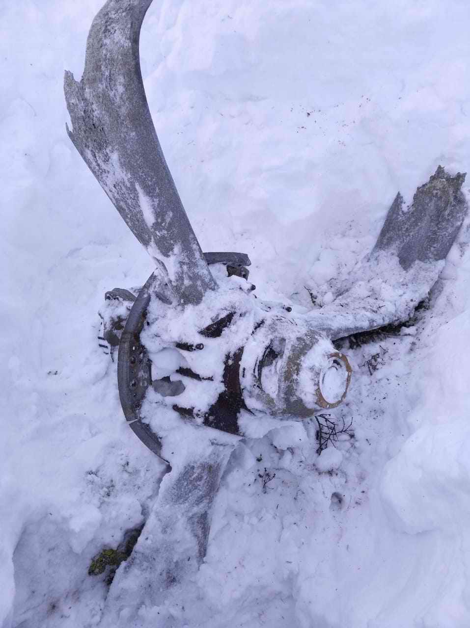 ������� ����������. ���������� ������� - ���������. 2025 �.