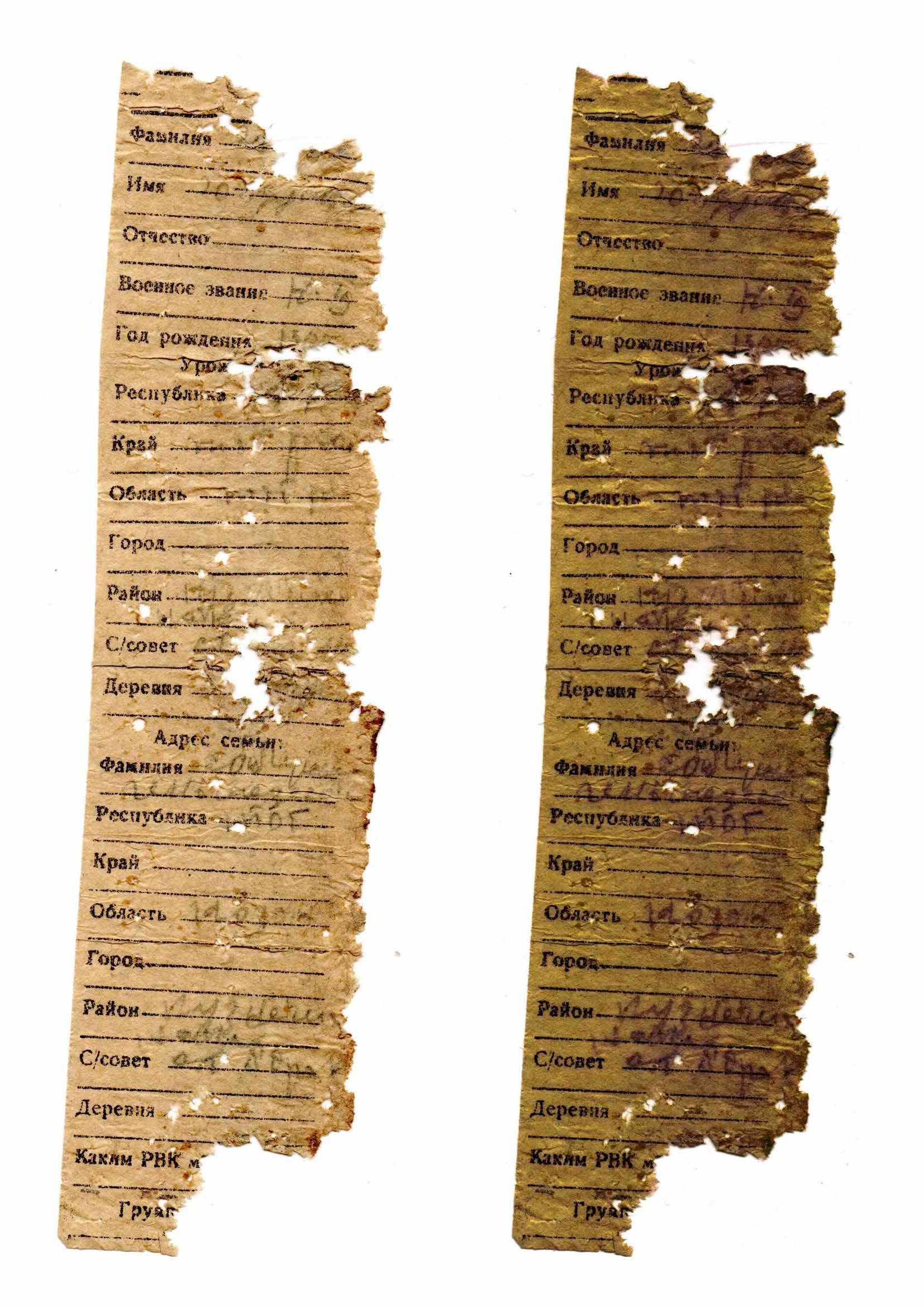 ������� ����������� 1905 �.�. ������� ���������. ������. 2025 �.