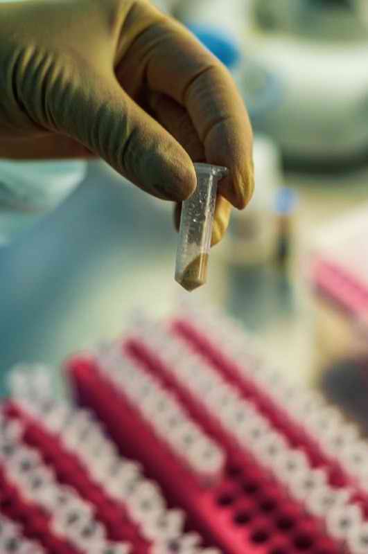 ��� ������. ���-������������. ����� �������������. ����, ������. 2025.