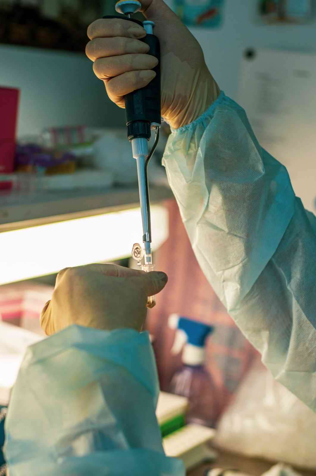 ��� ������. ���-������������. ����� �������������. ����, ������. 2025.