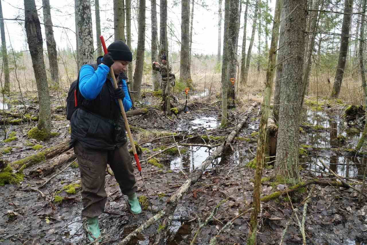 ������-������������� ��������� ���������� ��������. ���������� ����� ������������� �������. 2025 �.