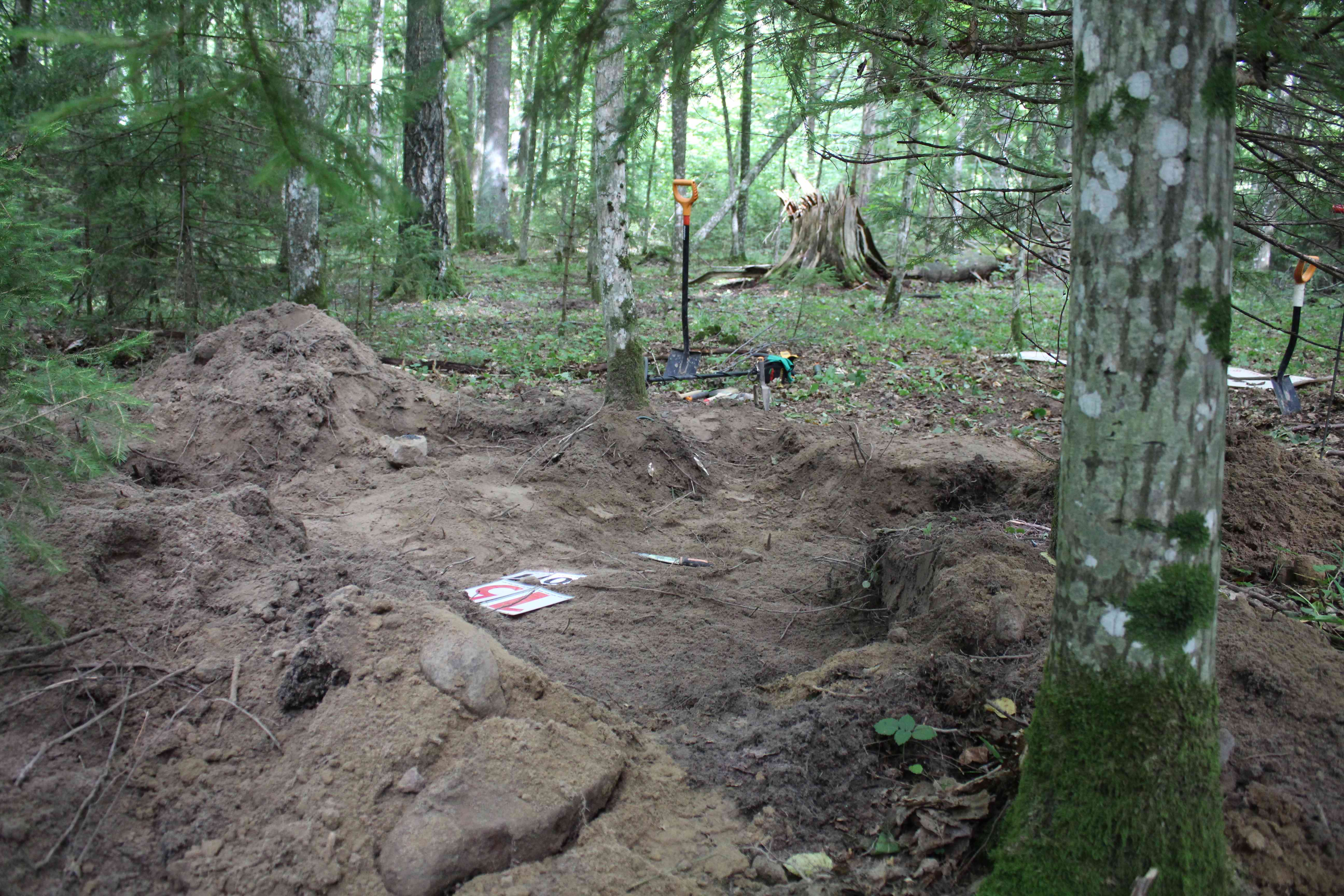 ������������� ����� ������ � ���������� ��������. 2025 �. ��������� - ���������� ��������.