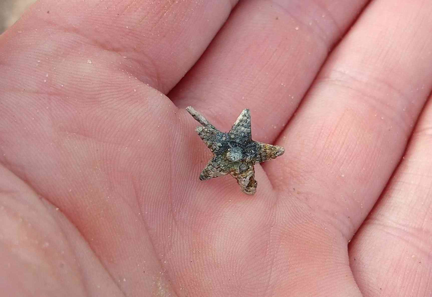 ��������� ����������. �������� - ���������. ������������� ���������.