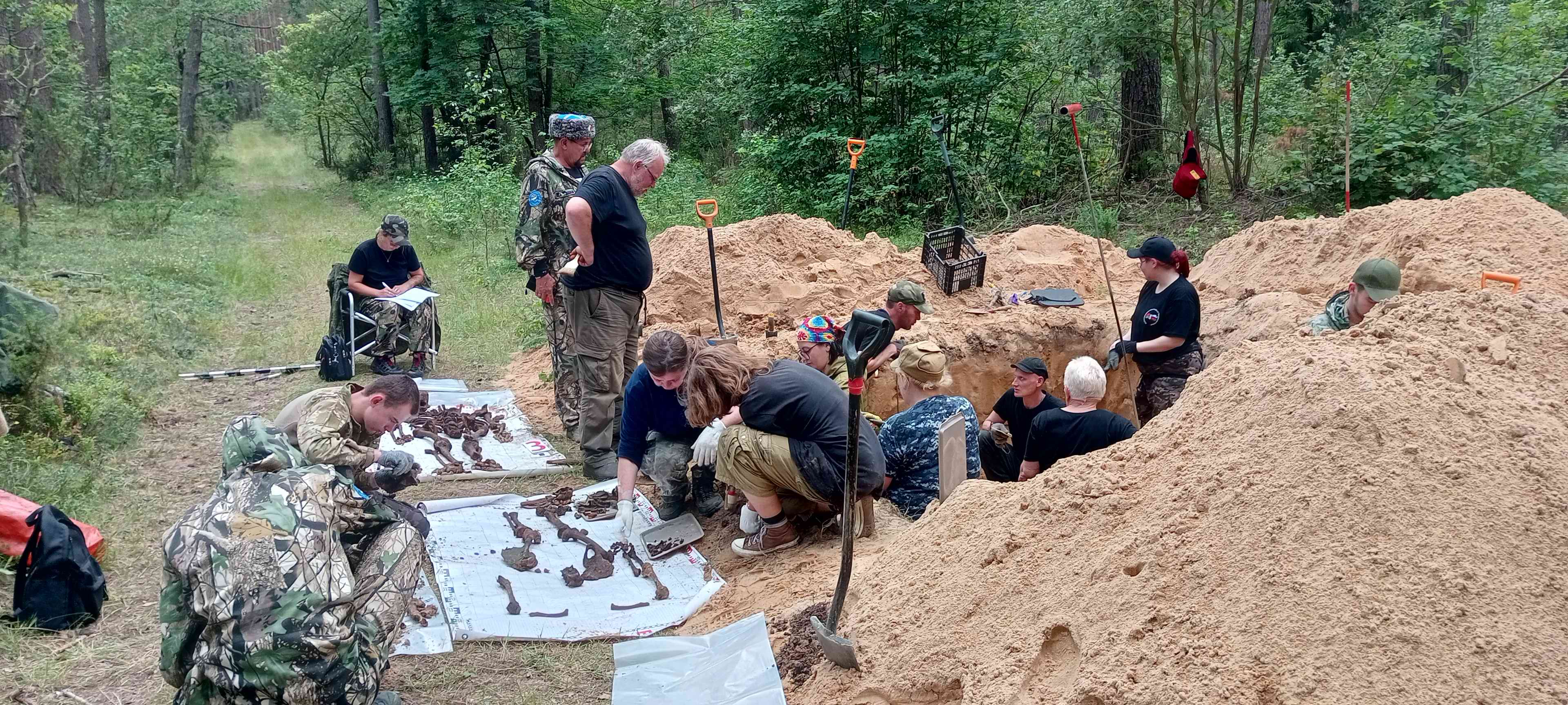 ��������� ����������. �������� - ���������.