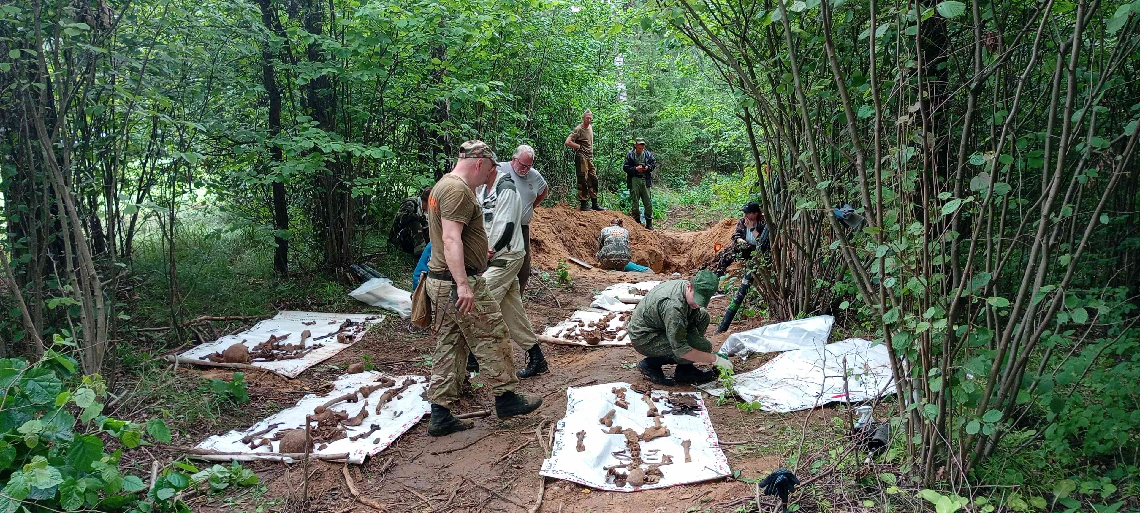 ��������� ����������. �������� - ���������.