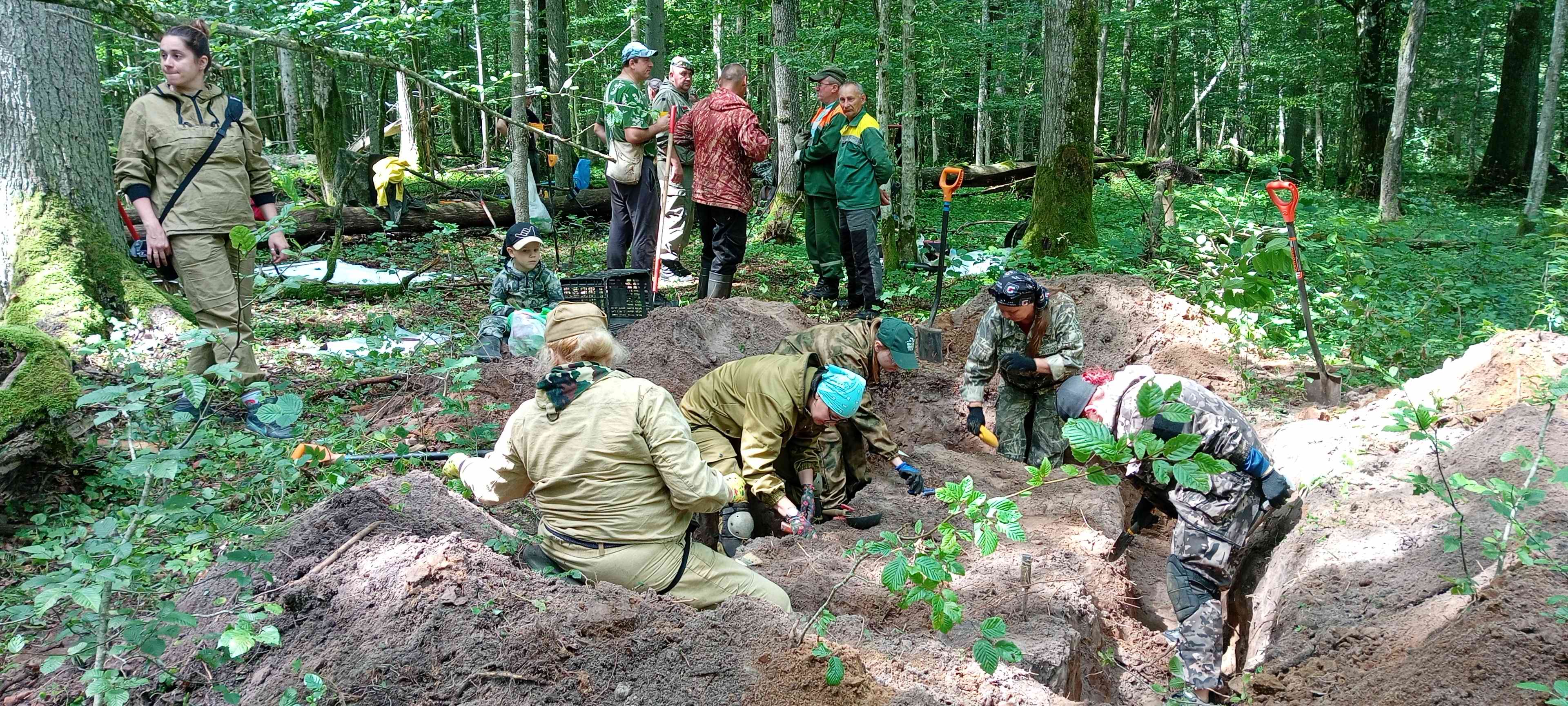 ��������� ����������. �������� - ���������.