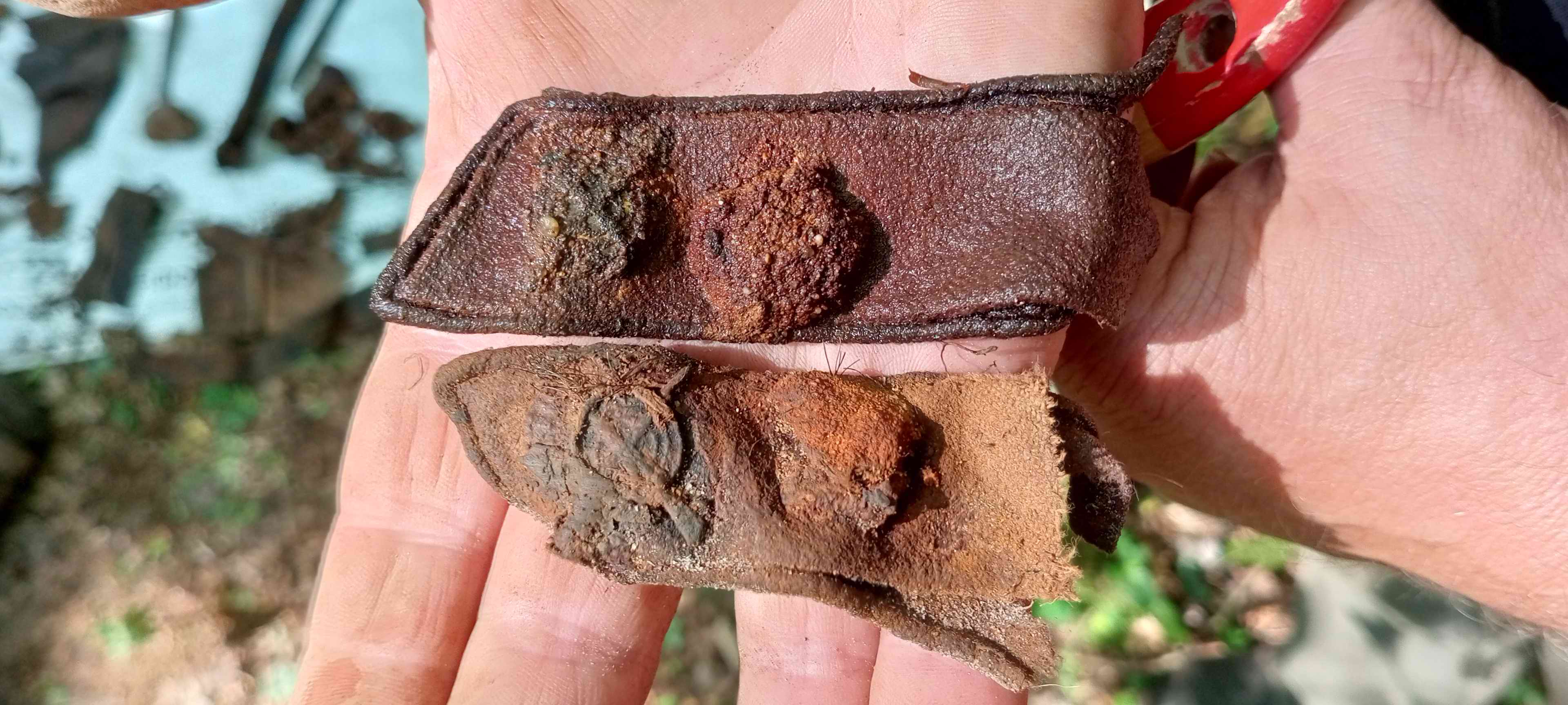 ��������� ����������. �������� - ���������.