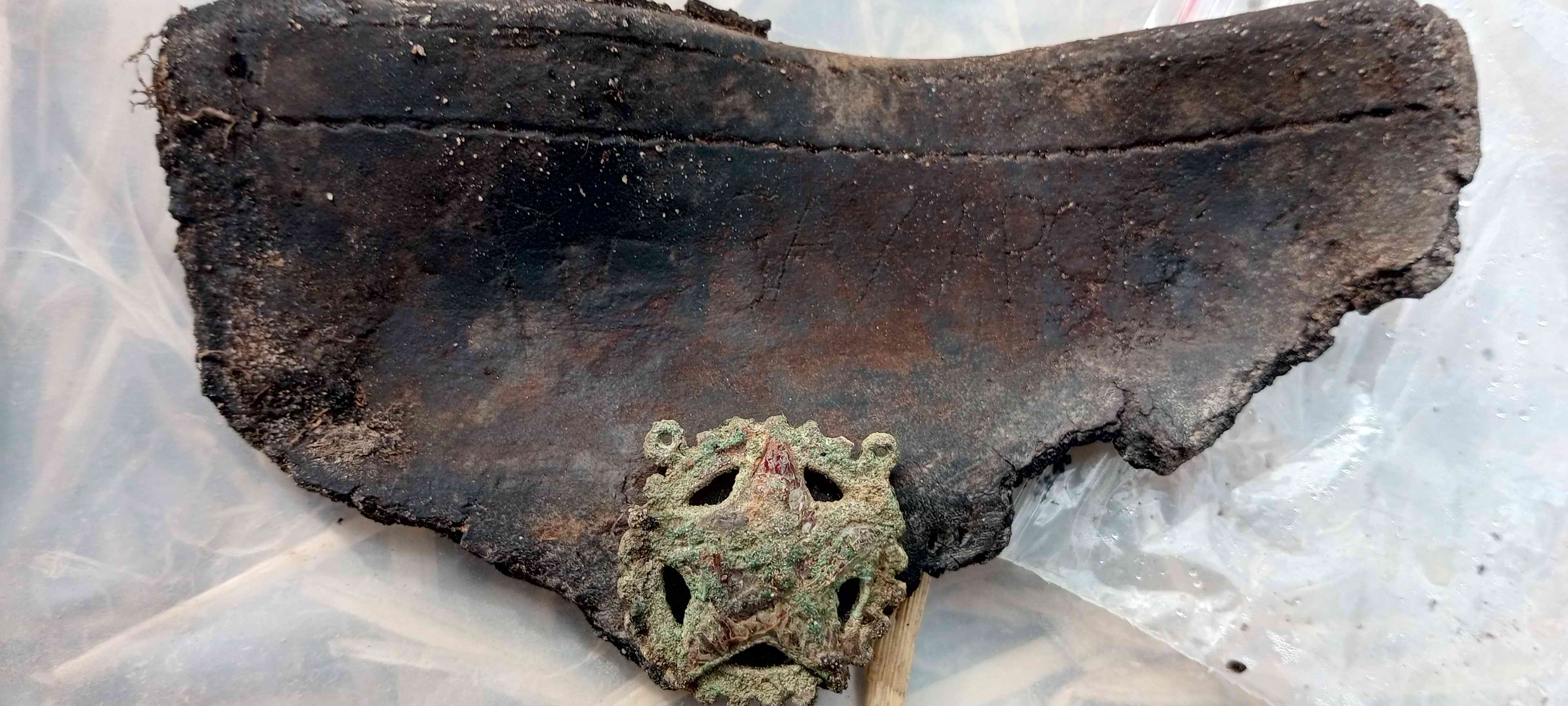 ��������� ����������. �������� - ���������. �������� � ��������: ������� �.