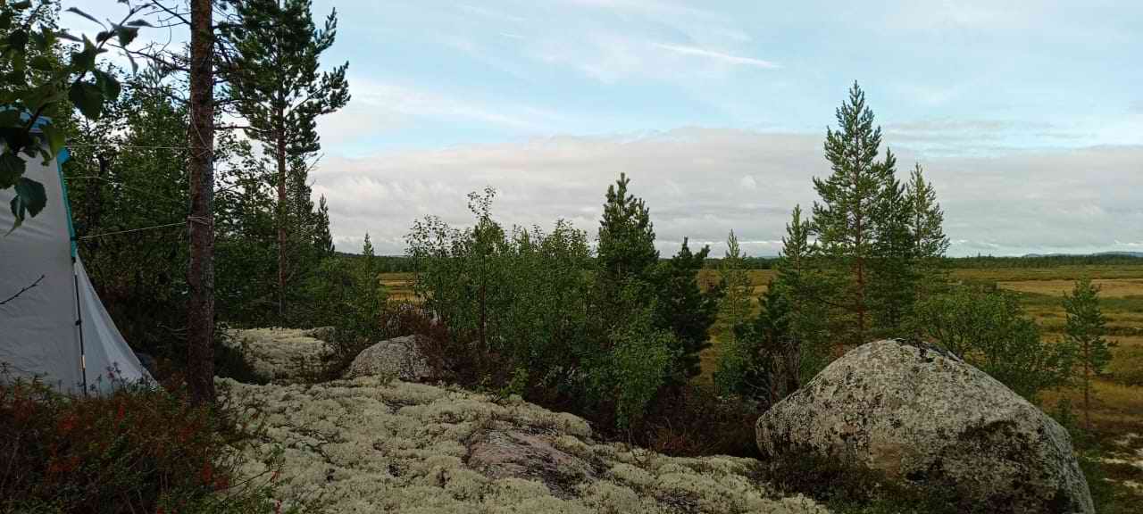 ������� ����������. ���������� ������� - ���������. 2025 �.