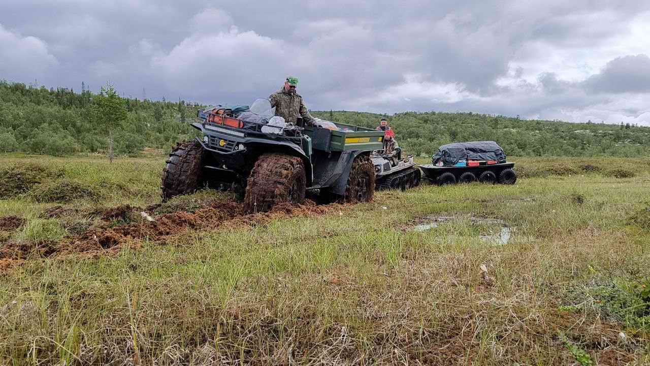 ������� ����������. ���������� ������� - ���������. 2025 �.