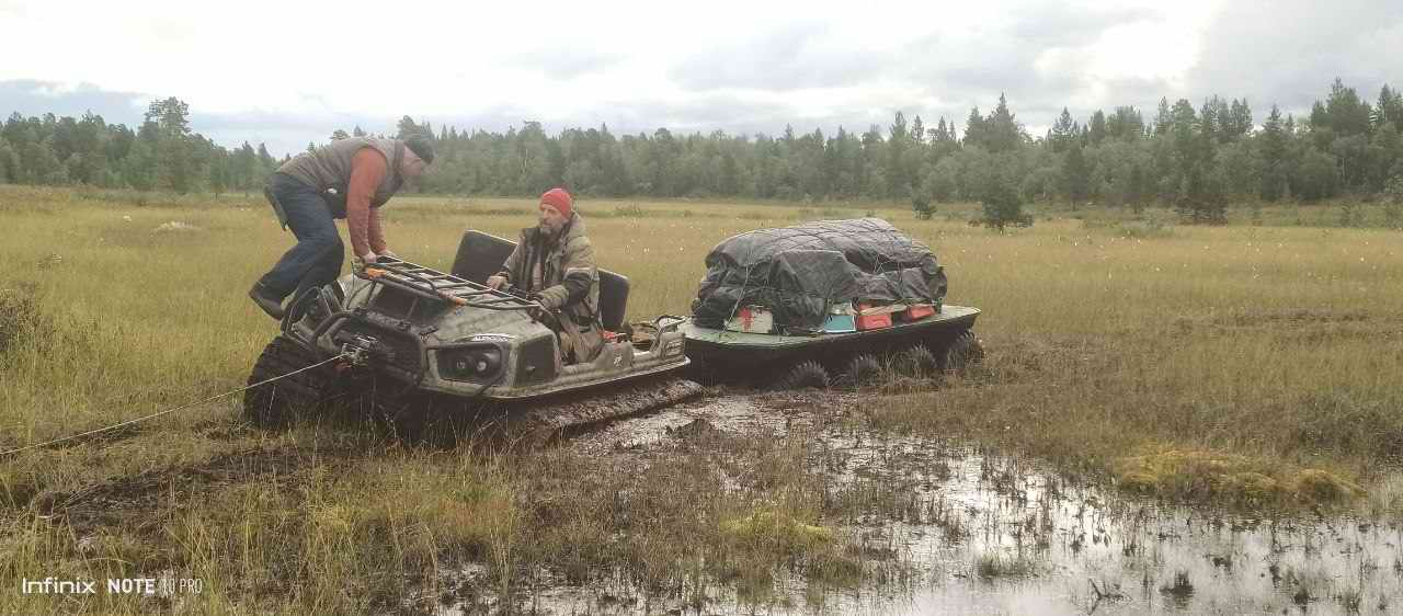 ������� ����������. ���������� ������� - ���������. 2025 �.