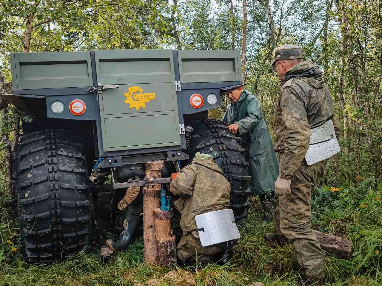 ������� ����������. ���������� ������� - ���������. 2025 �.