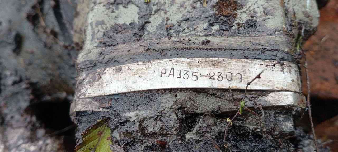 ������� ����������. ���������� ������� - ���������. 2025 �.