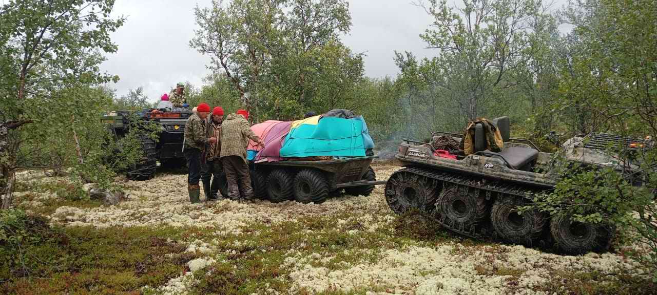 ������� ����������. ���������� ������� - ���������. 2025 �.