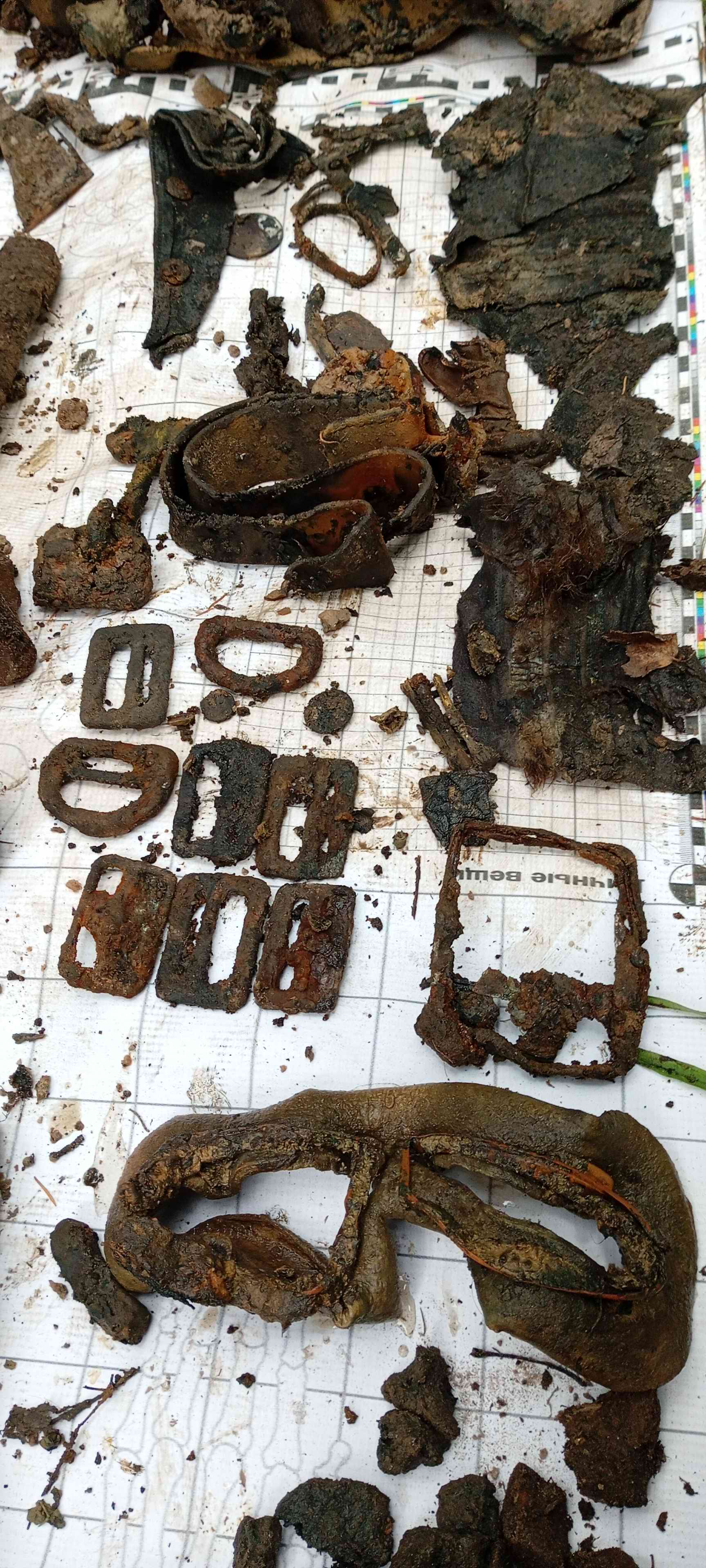 ������� ����������. ��������� - ������������� �������. 2025 �.