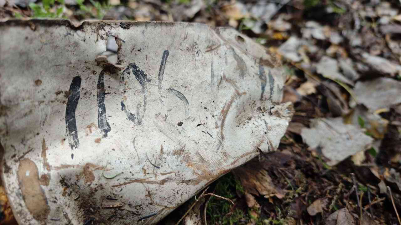 ������� ����������. ��������� - ������������� �������. 2025 �.