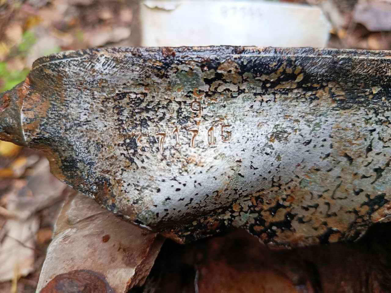 ������� ����������. ��������� - ������������� �������. 2025 �.