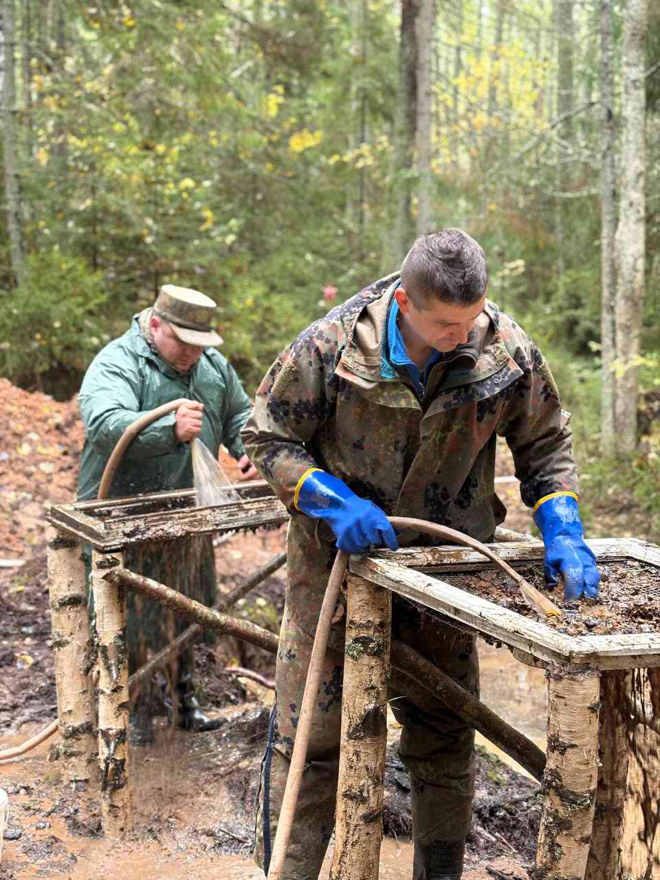 ���������� ���������� ������ ����� ���������� ����� ������������. 
��������� ����� ������������� ������� - ���������� ���������. 2025 �.