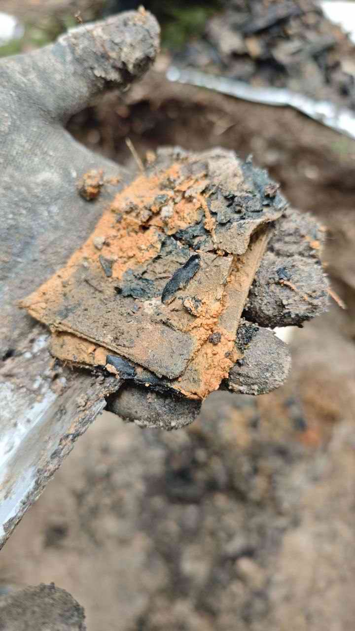 ���������� ���������� ������ ����� ���������� ����� ������������. 
��������� ����� ������������� ������� - ���������� ���������. 2025 �.