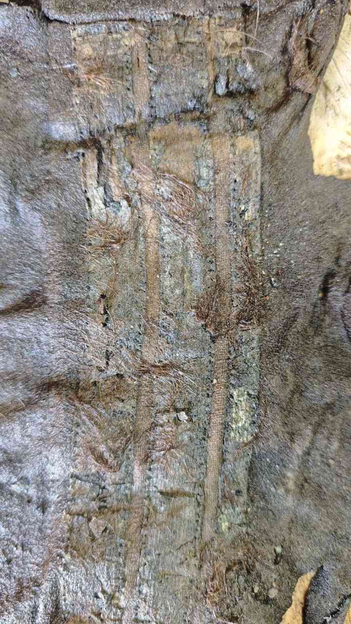 ���������� ���������� ������ ����� ���������� ����� ������������. 
��������� ����� ������������� ������� - ���������� ���������. 2025 �.